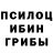 Галлюциногенные грибы мицелий Frekeh Bok