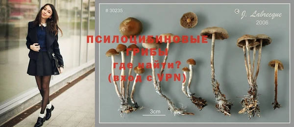 бутират Покачи