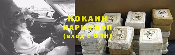 прущие грибы Покров
