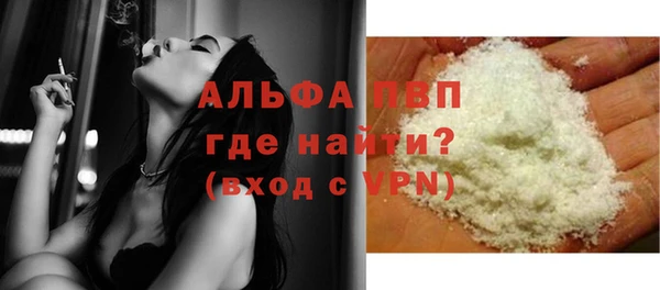 прущие грибы Покров