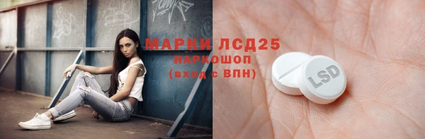 прущие грибы Покров