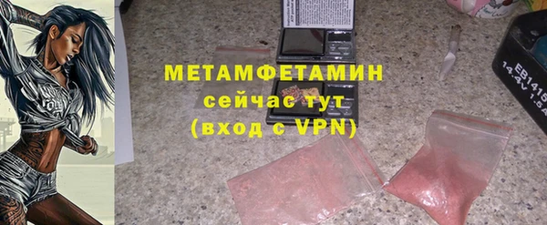 прущие грибы Покров