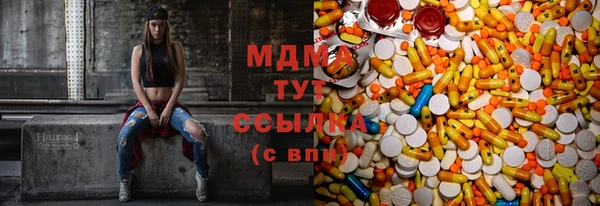 прущие грибы Покров