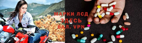 прущие грибы Покров