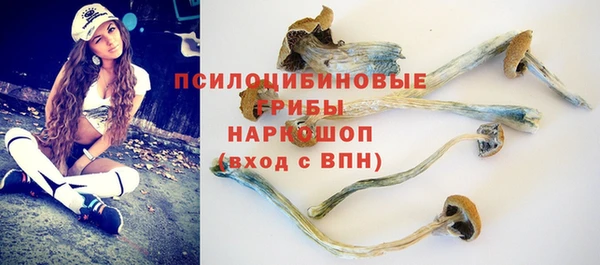 прущие грибы Покров