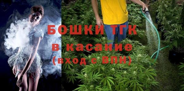 прущие грибы Покров