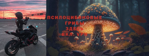 прущие крисы Бутурлиновка