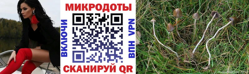 Галлюциногенные грибы Magic Shrooms  Рассказово 