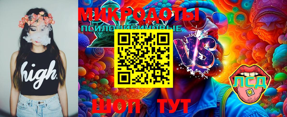 Рассказово  Галлюциногенные грибы GOLDEN TEACHER  Галлюциногенные грибы Psilocybe  Вход с VPN 