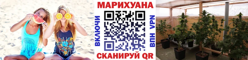 даркнет сайт  Рассказово  Канабис сатива 